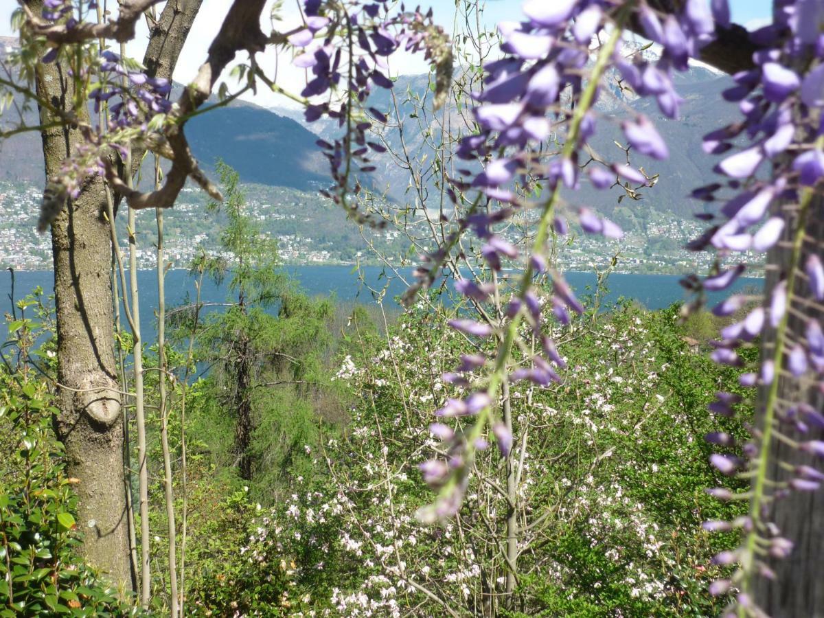 Casa Petra 1 1/2 Zi, Orgnana 83 Διαμέρισμα Gambarogno Εξωτερικό φωτογραφία