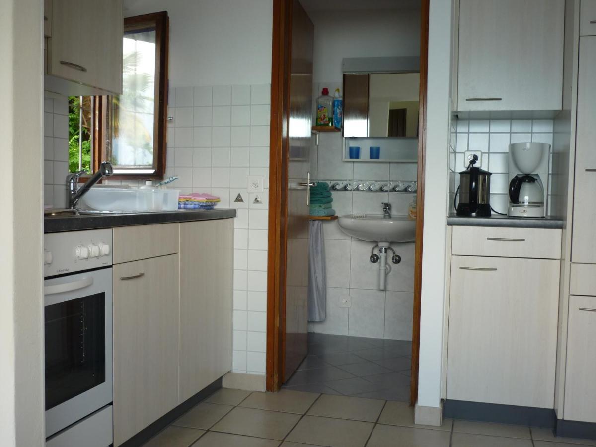 Casa Petra 1 1/2 Zi, Orgnana 83 Διαμέρισμα Gambarogno Εξωτερικό φωτογραφία