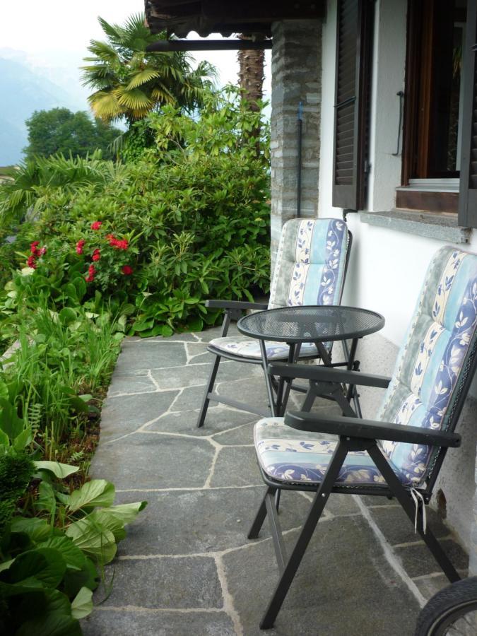 Casa Petra 1 1/2 Zi, Orgnana 83 Διαμέρισμα Gambarogno Εξωτερικό φωτογραφία