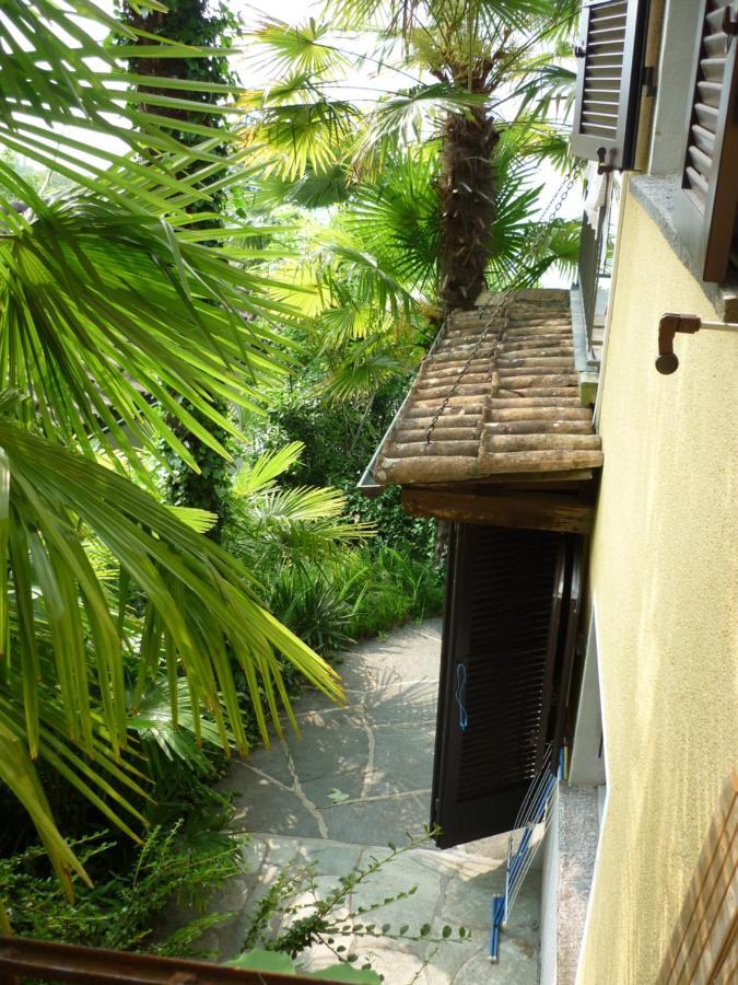 Casa Petra 1 1/2 Zi, Orgnana 83 Διαμέρισμα Gambarogno Εξωτερικό φωτογραφία